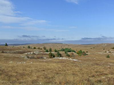 Прикрепленное изображение: DSCF5824.jpg